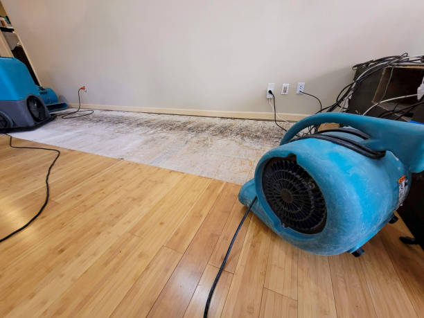 Professional Structural Drying technician working in Gibson, AR